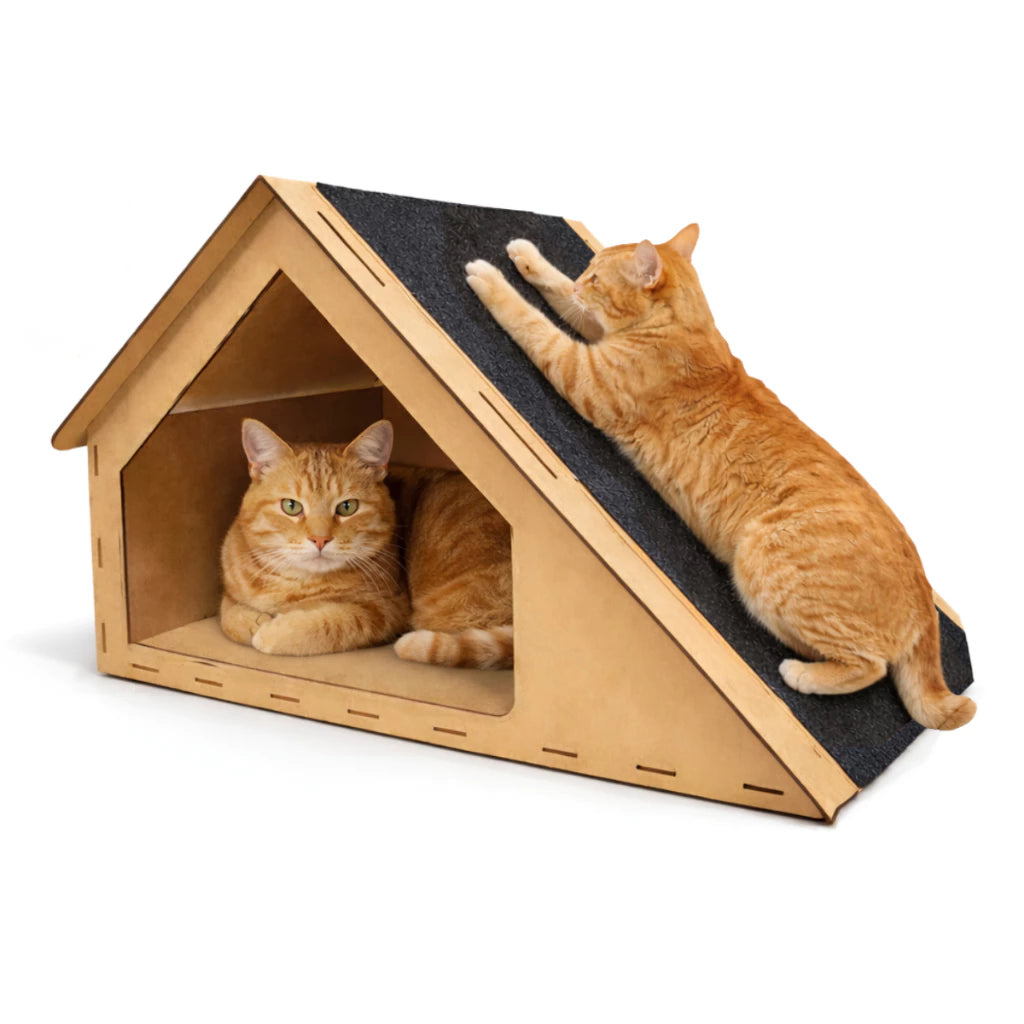 Rampa Toca para Gatos com Arranhador em Carpete