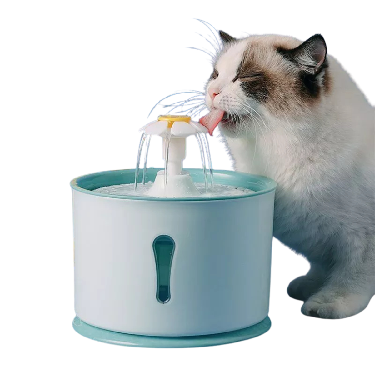 AquaLottoPet – Fonte Automática para Pets